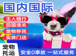 营口兰旗空运代理国际宠物托运 【国